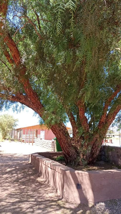 Lodge Don Felix San Pedro de Atacama Exterior photo