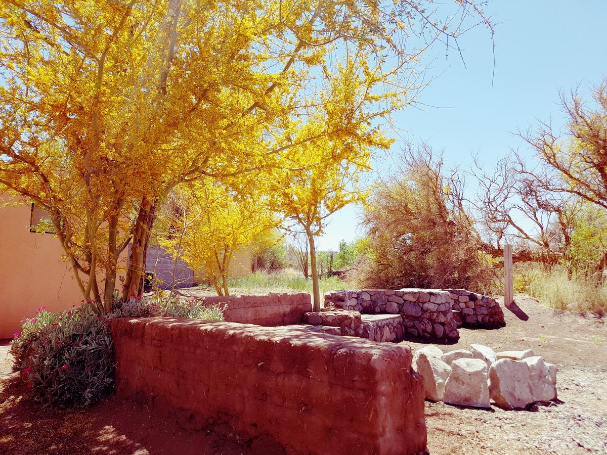 Lodge Don Felix San Pedro de Atacama Exterior photo